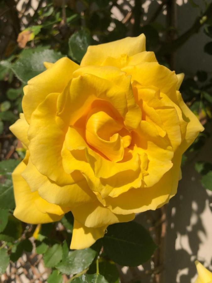 Le Chai De La Rose Spa Et Seances Bien Etre Дуе-ла-Фонтен Екстер'єр фото