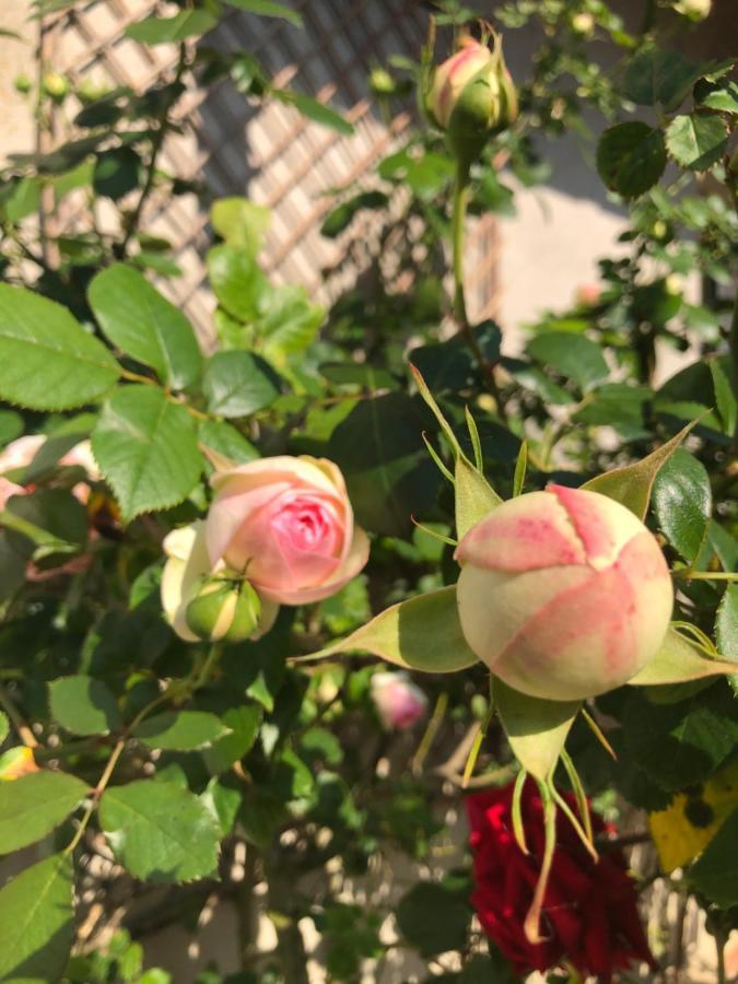 Le Chai De La Rose Spa Et Seances Bien Etre Дуе-ла-Фонтен Екстер'єр фото